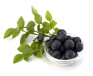 Similar image 2987106