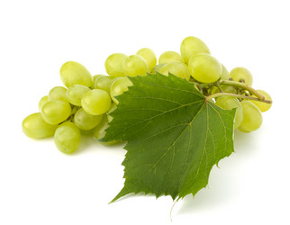 Similar image 2987117