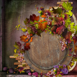 Similar image 2987138