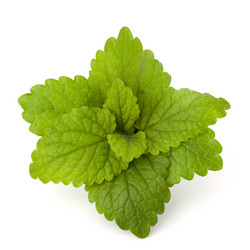 Similar image 2987157