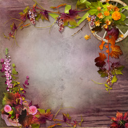 Similar image 2987158