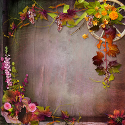 Similar image 2987159