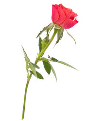 Similar image 2987176