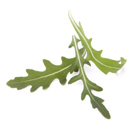 Similar image 2987192