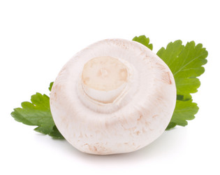 Similar image 2987215