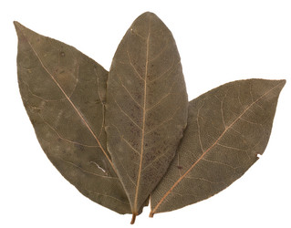 Similar image 2987249