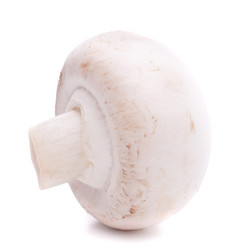 Similar image 2987251