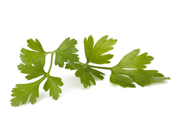 Similar image 2987252