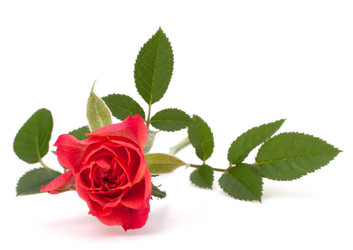 Similar image 2987261