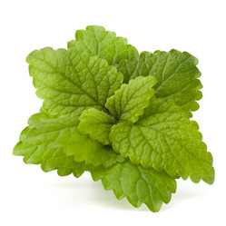 Similar image 2987318