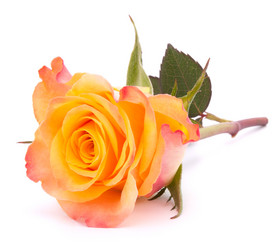 Similar image 2987323