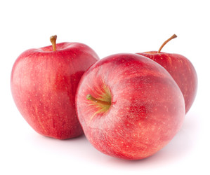 Similar image 2987328