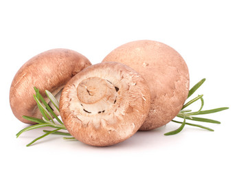 Similar image 2987334