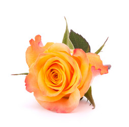 Similar image 2987344