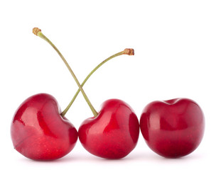 Similar image 2987374