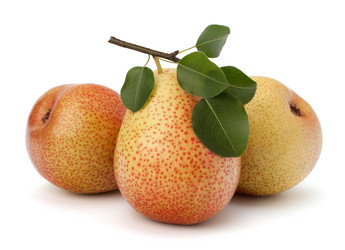 Similar image 2987390