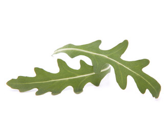 Similar image 2987424