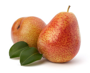 Similar image 2987427