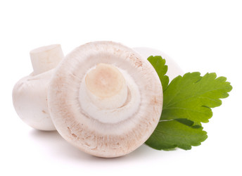 Similar image 2987430