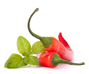 Similar image 2987452