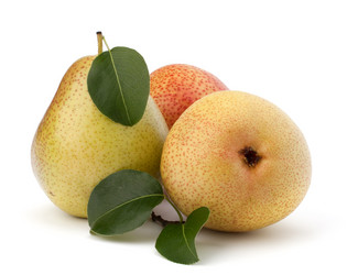 Similar image 2987455