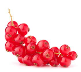 Similar image 2987467