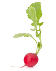 Similar image 2987470