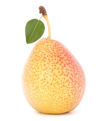 Similar image 2987481