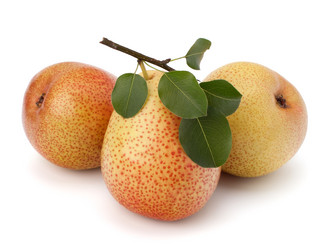 Similar image 2987490