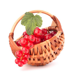 Similar image 2987494