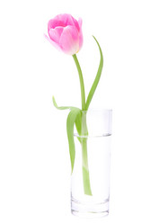 Similar image 2987511