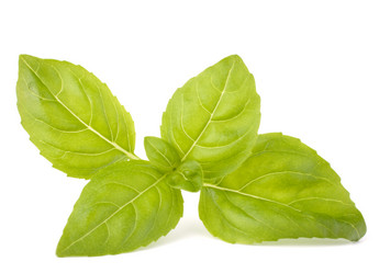 Similar image 2987529