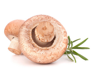 Similar image 2987530