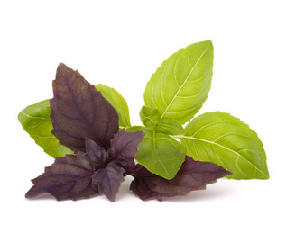 Similar image 2987579