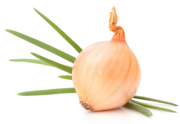 Similar image 2987599