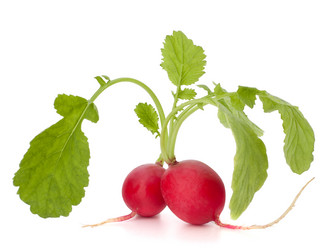 Similar image 2987605