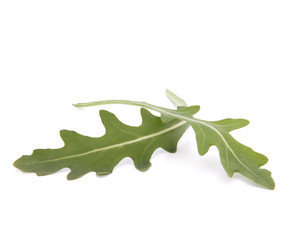 Similar image 2987612