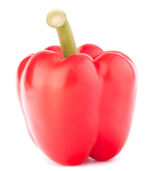 Similar image 2987616