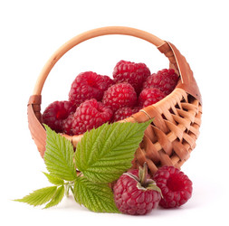 Similar image 2987631