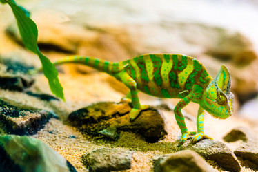 Similar image 2987697