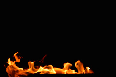 Similar image 2987729