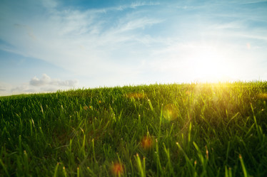 Similar image 2987738