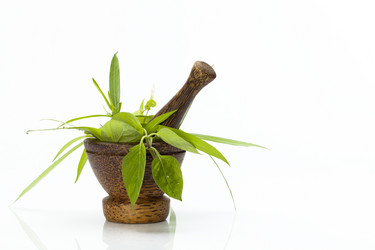 Similar image 2987739