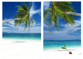 Similar image 2987762