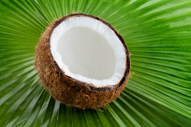 Similar image 2987782