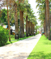 Similar image 2987811