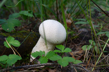 Similar image 2987827