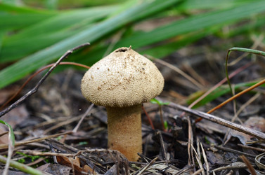 Similar image 2987829