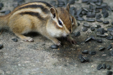 Similar image 2987830