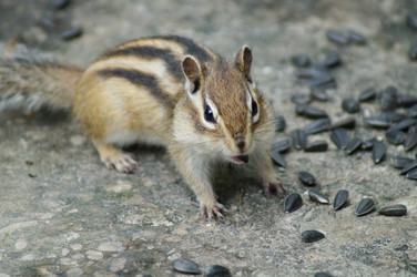 Similar image 2987831